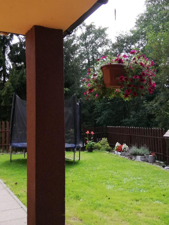 Apartament Nad Szumiacym Potokiem Wilkowice Dış mekan fotoğraf